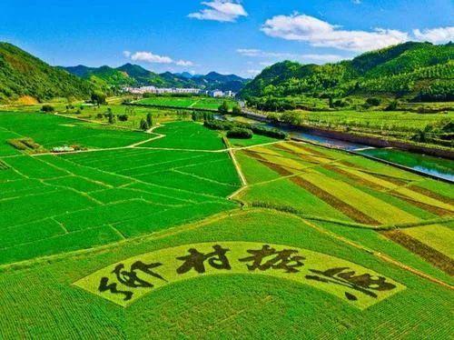 2021國家鄉(xiāng)村振興局正式掛牌!黨組成員有誰?設(shè)有哪些機(jī)構(gòu)?