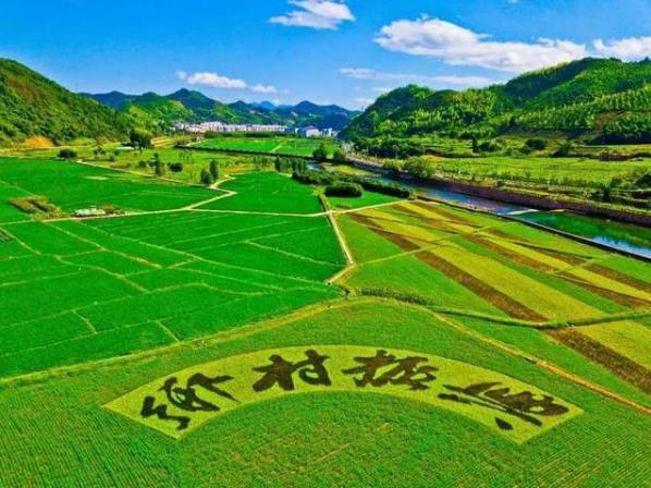 鄉(xiāng)村振興包括哪五方面的振興?鄉(xiāng)村振興戰(zhàn)略有哪些商機?