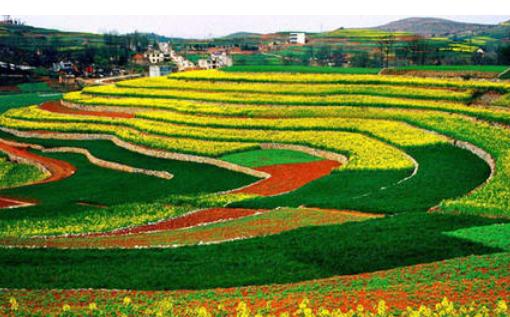 2021年耕地地力保護(hù)補(bǔ)貼來(lái)啦!耕地地力保護(hù)補(bǔ)貼的范圍是什么?