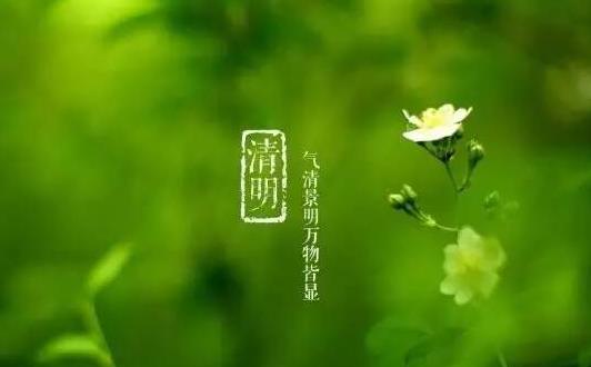 清明節(jié)車輛管理處能辦理業(yè)務嗎?2021清明節(jié)上海迪士尼人多嗎
