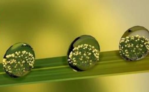 谷雨節(jié)氣代表什么?谷雨節(jié)氣含義是什么?
