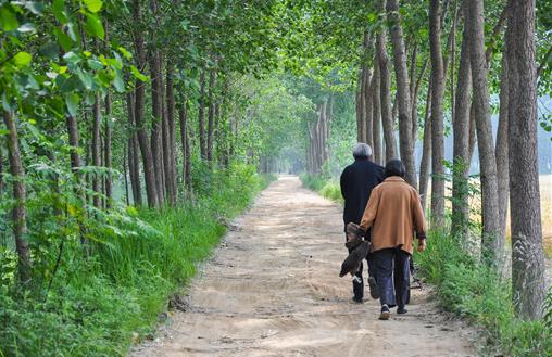 2021年村干部60歲還能參與競選嗎?村干部退休待遇新標(biāo)準(zhǔn)