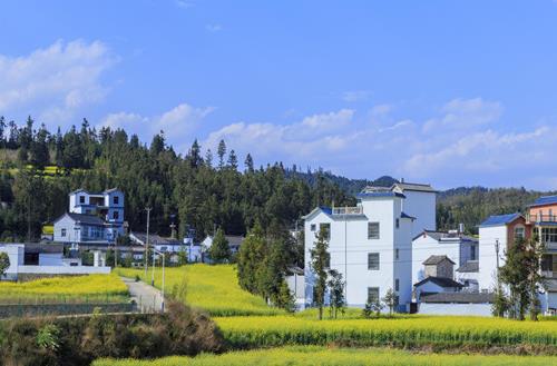 入黨多久能當村支部書記?2021村書記選舉流程