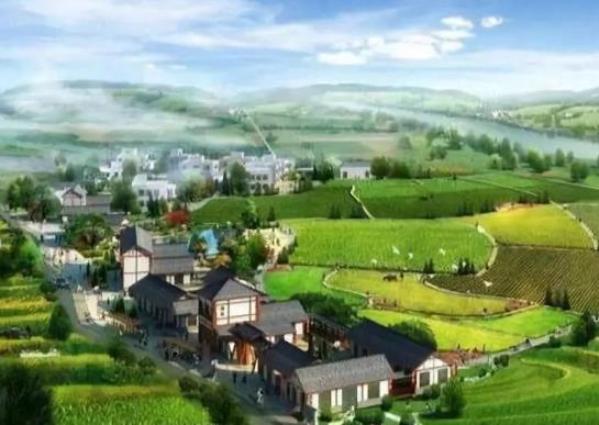 2021年農(nóng)村老人養(yǎng)老金領(lǐng)取條件是什么?2021年低保一個(gè)月能領(lǐng)多少錢?