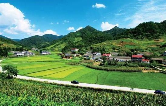 農(nóng)村老人養(yǎng)老金怎樣在手機(jī)上認(rèn)證?沒按時(shí)辦理高齡補(bǔ)貼還能補(bǔ)發(fā)嗎?