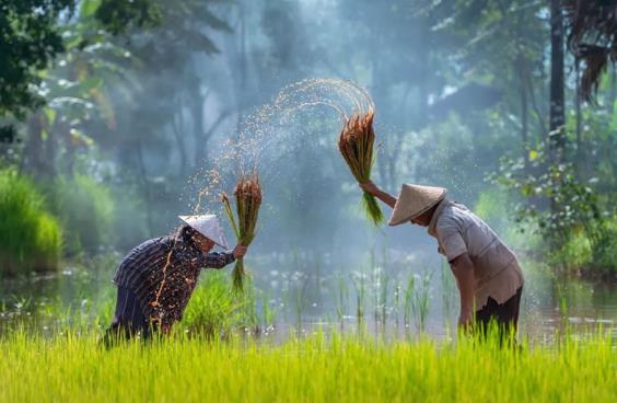 全國五一勞動(dòng)獎(jiǎng)?wù)聨啄暝u(píng)選一次?全國勞動(dòng)模范入選條件是什么?