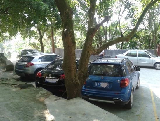 有人亂停車(chē)可以叫交警拖車(chē)嗎?車(chē)停路邊被拖走了怎么處理