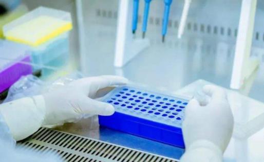 新冠無癥狀感染者痊愈后會(huì)再傳染嗎 新冠無癥狀感染者怎么判斷