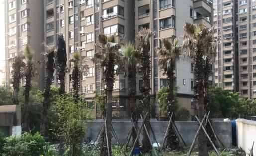 解困房是合法的嗎 解困房是經(jīng)濟適用房嗎