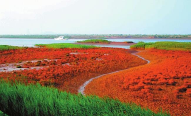 “2019華僑城文化旅游節(jié)”華僑城北方集團攜七大景區(qū)唱響“歡樂在一起”