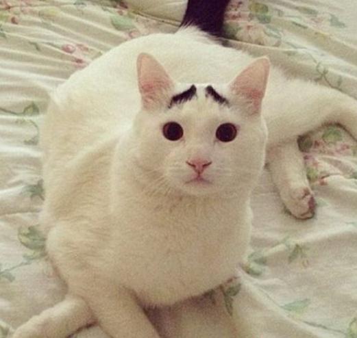 ü؈ɽķW(wng)j(lu)t(x)(sh)؈üĘu(mi)ȇ