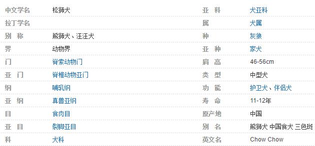 松獅犬簡介介紹