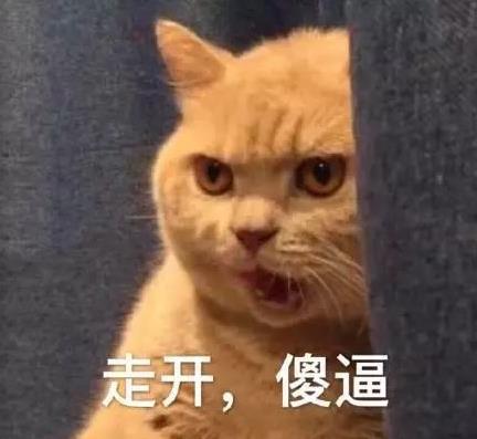 走開(kāi),傻逼.jpg