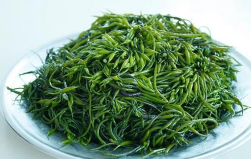 如何護(hù)理頭發(fā) 燙發(fā)的危害 簡(jiǎn)單四步驟養(yǎng)護(hù)秀發(fā)