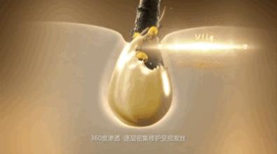 夏秋換季之際 丹姿絲維麗一瓶修護(hù)