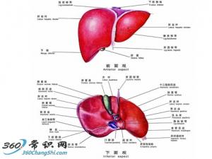 ί(li)βʳ䷽
