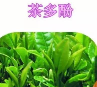 男性都會(huì)喝茶 喝茶會(huì)給男性的身體帶來(lái)的6種好處