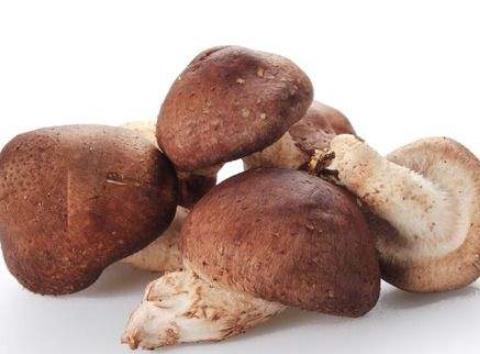 健美身材是男性的最?lèi)?ài) 推薦8種減肥食物