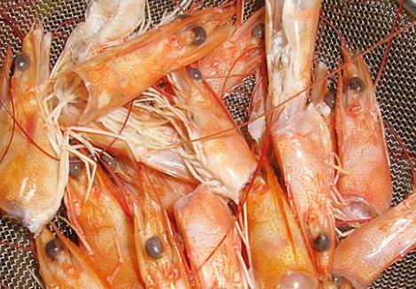 男性精子出現(xiàn)問(wèn)題補(bǔ)精很重要 推薦7種食物可以幫助補(bǔ)精
