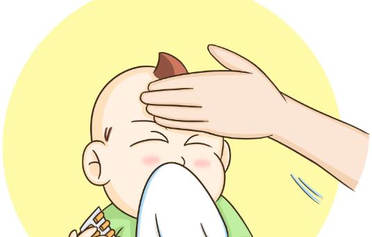 不僅女性養(yǎng)生男性也得學會養(yǎng)生 推薦5種男人吃了對身體好的食物