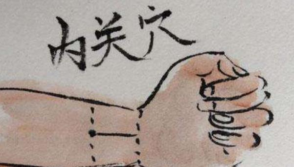 心臟對于我們是非常重要的器官 推薦5種保護(hù)心臟的食物