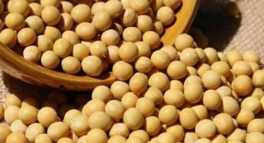 男性養(yǎng)生要正確 少吃5種食物能養(yǎng)生