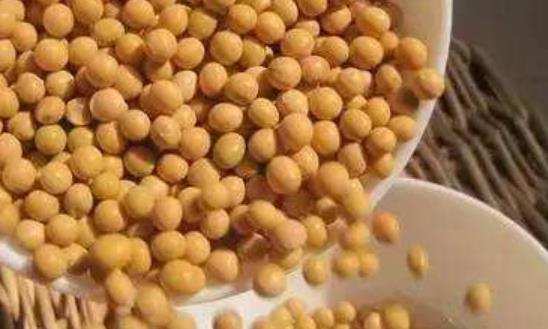 吃飯別吃太快 容易吃出6種危害