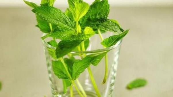 很多人就容易犯困 4個(gè)食物來(lái)提神