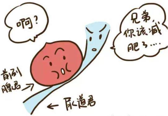 天氣冷了,前列腺炎怎么調(diào)養(yǎng)?前列腺炎主要癥狀有哪些?如何預(yù)防