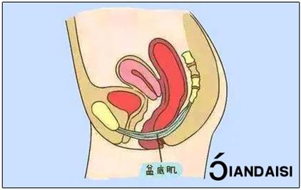 什么牌子縮陰緊致藥物最好?別忽視安全性!