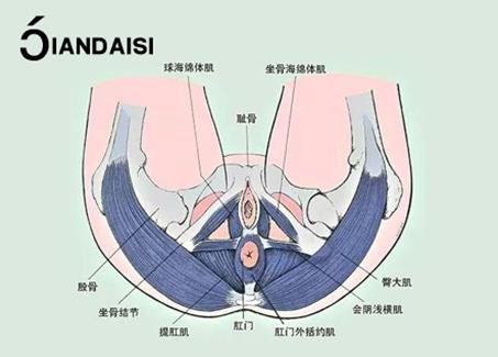 什么品牌縮陰產(chǎn)品效果好?不求便宜只要對(duì)!