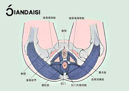 縮陰產(chǎn)品有沒有副作用?有沒有依賴性?