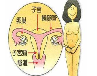 子宮切除會有什么并發(fā)癥?子宮切除要注意什么