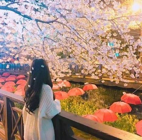 如何治療女性尖銳疣?如何預(yù)防女性尖銳疣
