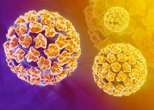 有過性生活打九價疫苗要檢查嗎?9價hpv第三針沒打還能再重新接種嗎
