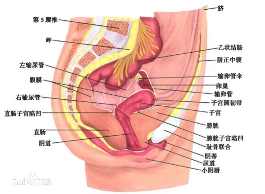 ŮʲôӵĈDƬ ꎲ挍(sh)(gu)ʽY(ji)(gu)D