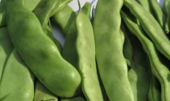 女性缺鈣切勿天天吃鈣片 推薦7種女性缺鈣的食物