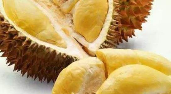 食物雖然不好聞但是營養(yǎng)價(jià)值卻驚人 女性應(yīng)多吃這5種難聞的食物