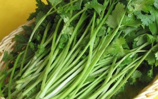 食物雖然不好聞但是營養(yǎng)價(jià)值卻驚人 女性應(yīng)多吃這5種難聞的食物