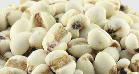 人體內(nèi)容易濕氣重 這9種食物要多吃