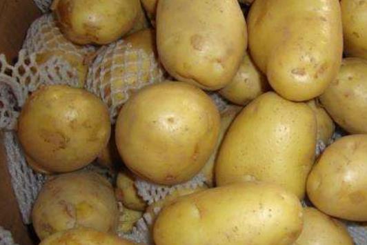 土豆對女人的5大好處 土豆是我們的家常菜