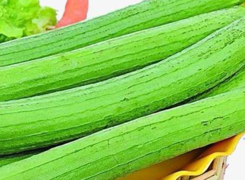 夏季瓜類食物很受歡迎 女性夏季吃絲瓜的食療功效