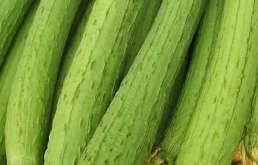 夏季瓜類食物很受歡迎 女性夏季吃絲瓜的食療功效