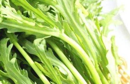 夏季食物品種多 盛夏要吃這6種當(dāng)家菜