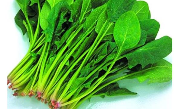 夏季蔬菜品種多樣 女性夏季吃四種蔬菜最養(yǎng)身