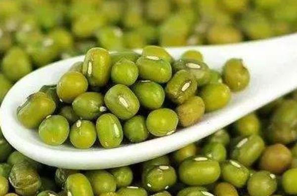 豆類的營(yíng)養(yǎng)豐富 夏季女性適合多吃6種豆