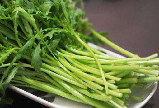 夏季天氣炎熱身體會出現(xiàn)很多不適癥狀 女人們夏天吃的6種蔬菜