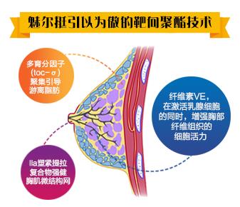 17年專注豐胸 始終如一 魅爾挺您身邊的豐胸專家