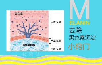 如何去除私處乳暈黑色素?櫻花嫩紅素效果怎么樣