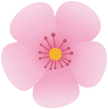 昆明寶島醫(yī)院是公立的嗎 用心服務(wù)平價(jià)放心